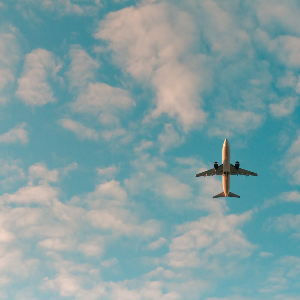 Airplane in flight